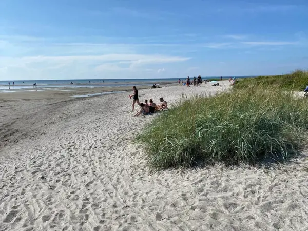 Bild 26 von 27