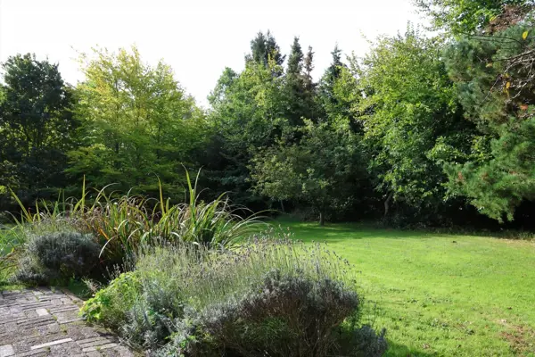 Bild 19 von 21