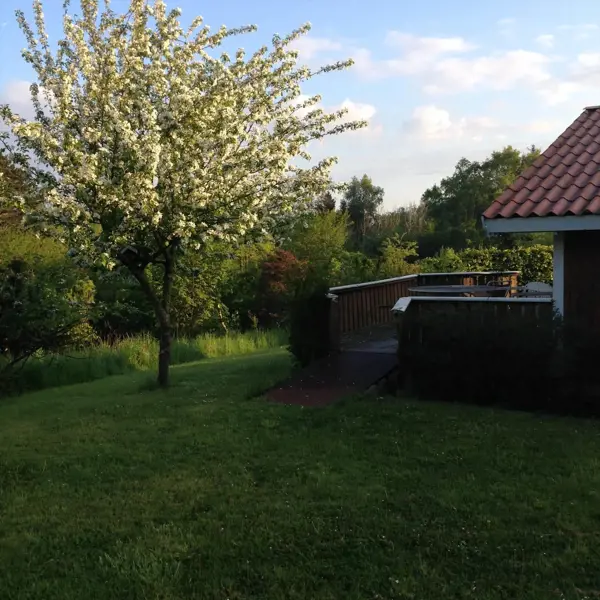 Bild 14 von 19