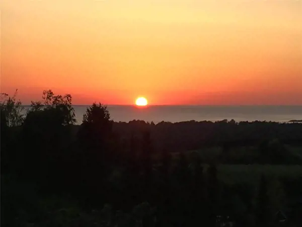 Bild 20 von 23
