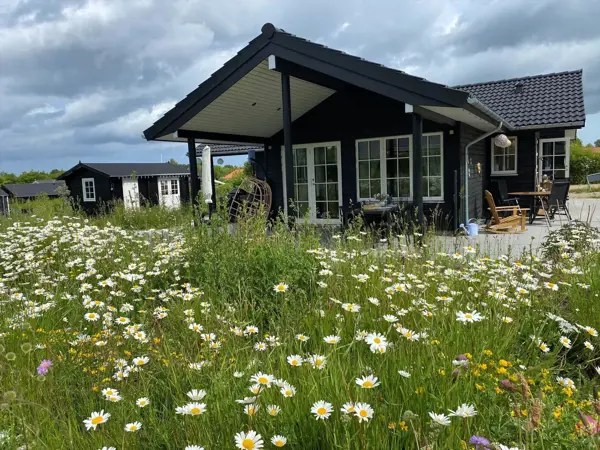 Ferienhaus 17716 in Havnsø / Odsherred
