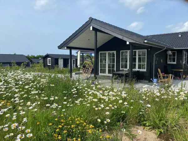 Bild 19 von 33