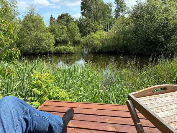 Bild 2 von 32