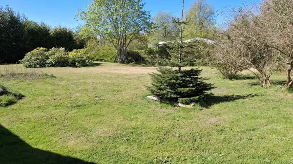 Bild 3 von 7