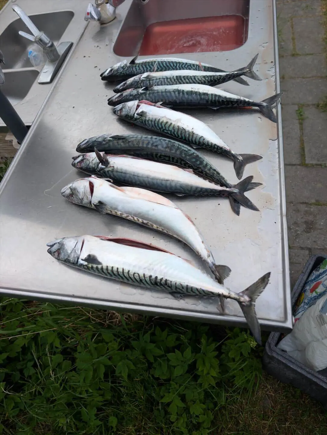 Bild 26 von 28