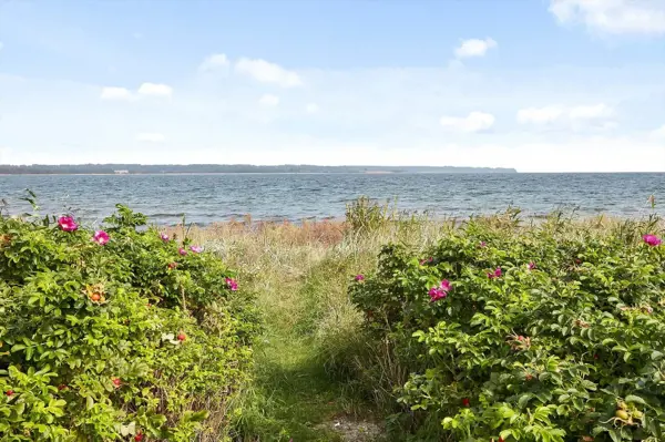 Bild 20 von 34