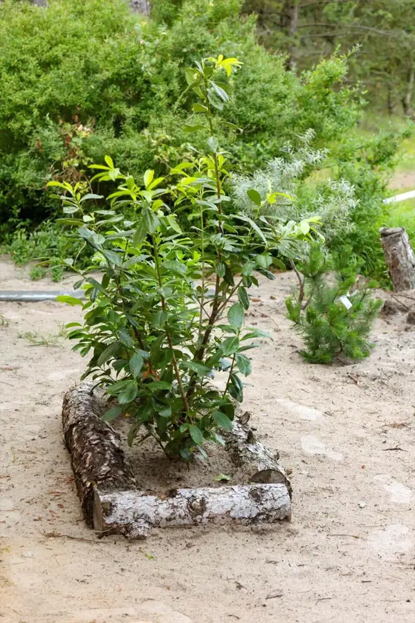 Bild 28 von 29