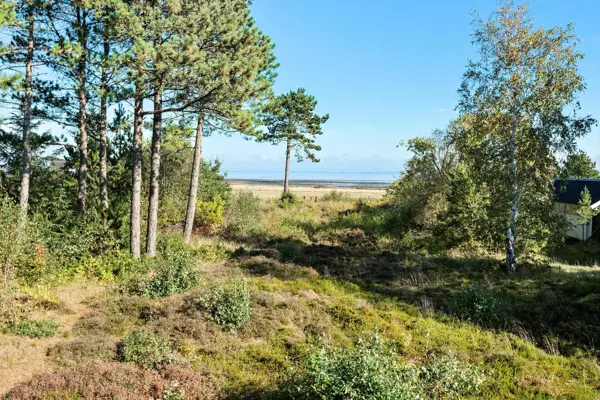 Bild 17 von 19