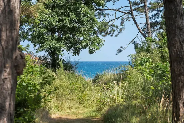Bild 20 von 38