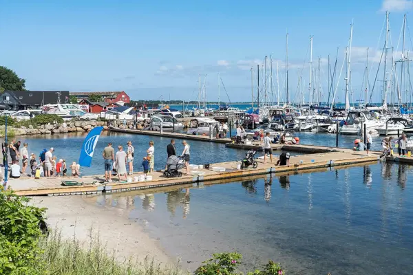 Bild 21 von 31