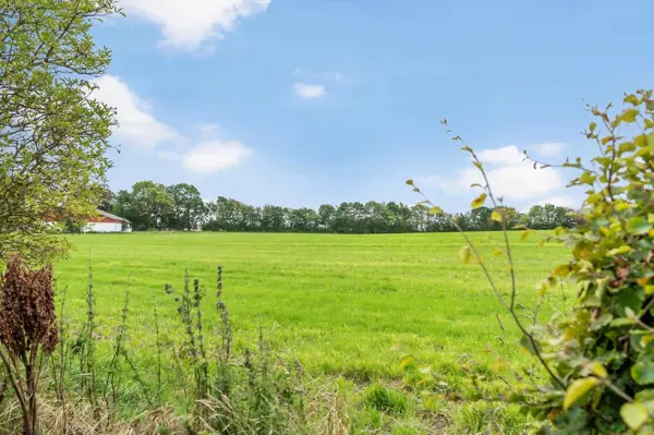 Ferienhaus 20438 in Stenskov 5, Besser | Bild 20 von 32