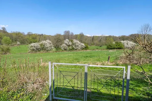 Bild 6 von 31
