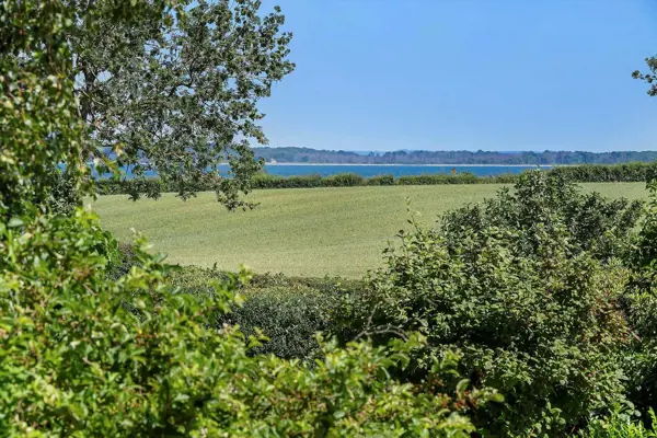 Bild 17 von 21