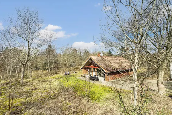 Bild 3 von 46