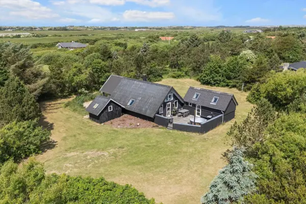Ferienhaus 1196 in Lodbjerg Hede / Holmsland Klit
