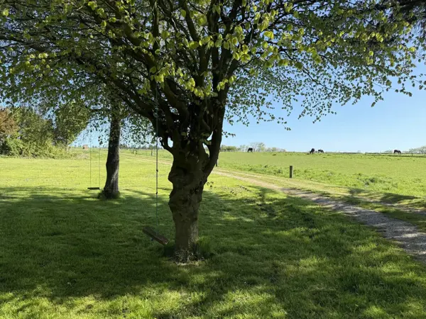 Bild 20 von 23