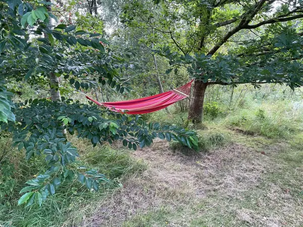 Bild 38 von 39