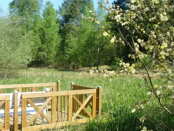 Bild 28 von 31