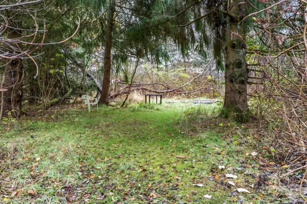Bild 19 von 19