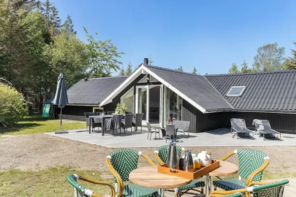 Ferienhaus TV1661 in Aalbæk / Aalbæk Bucht Bild: 1