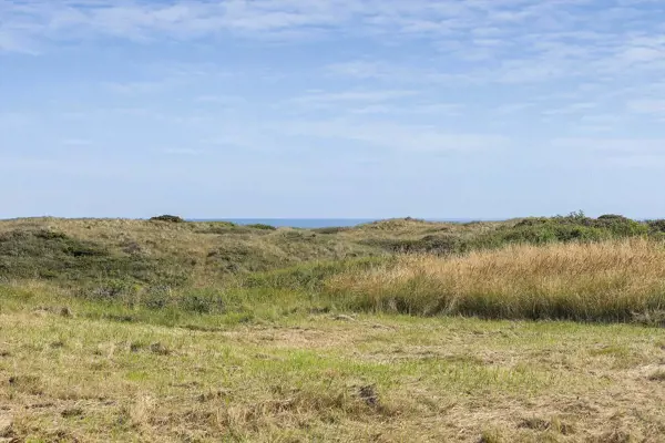 Ferienhaus TV1682 in Tversted / Tannisbucht Bild: 5