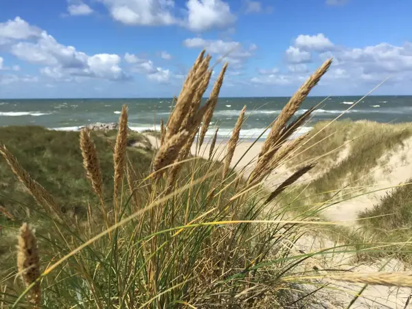 Bild 20 von 20