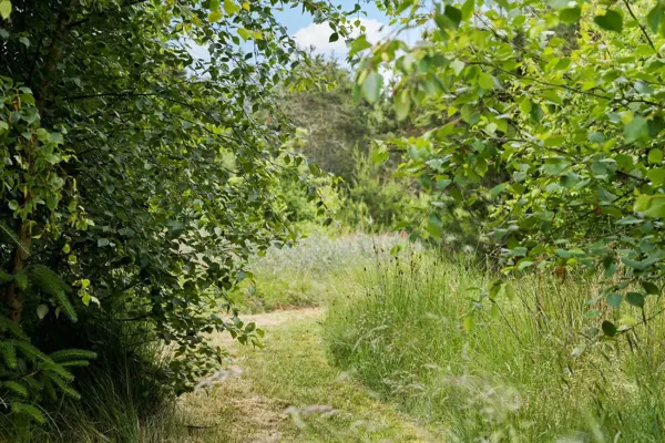 Bild 19 von 21