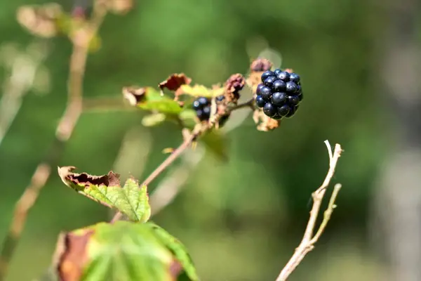 Bild 30 von 48