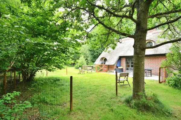 Bild 4 von 25