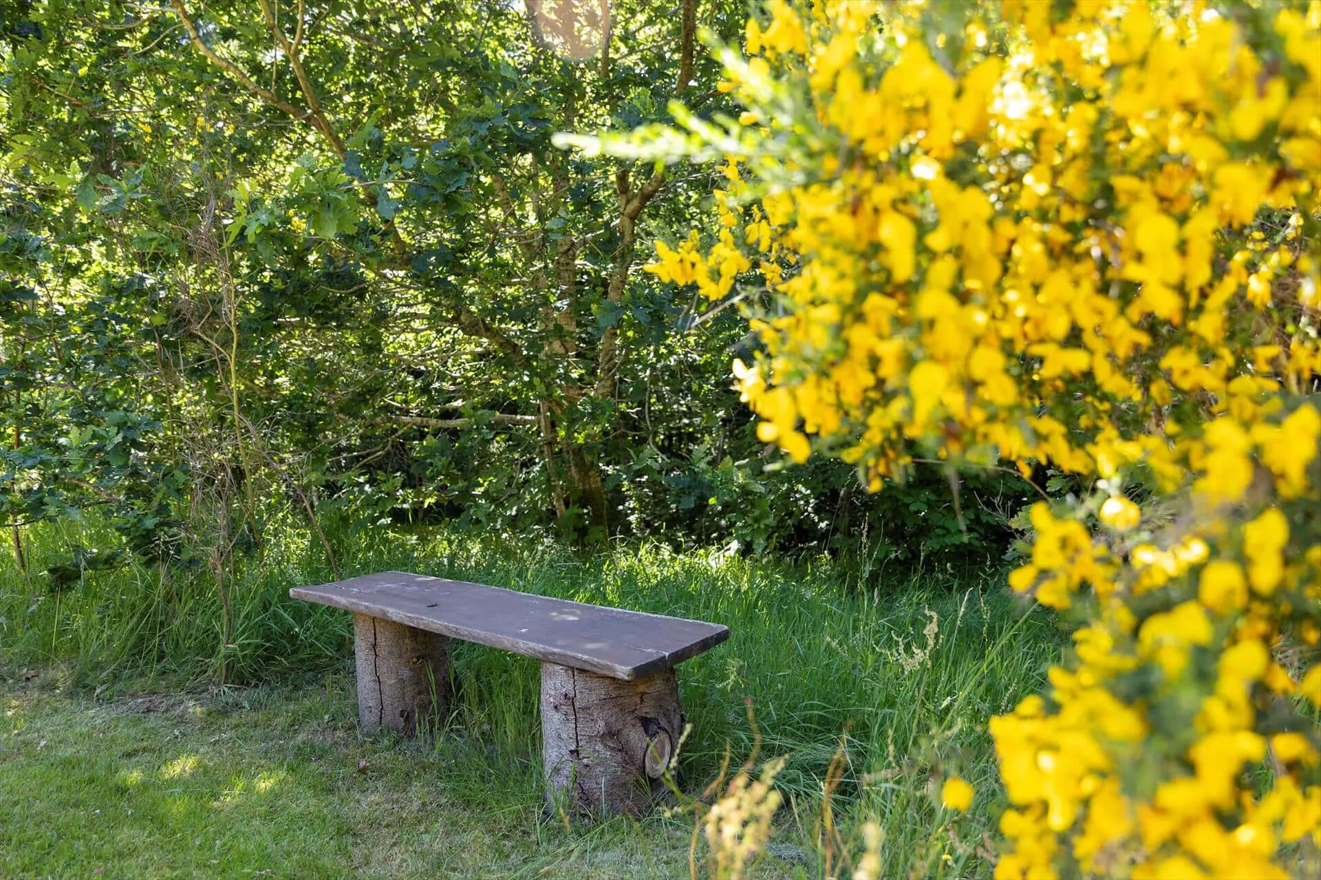Bild 26 von 31