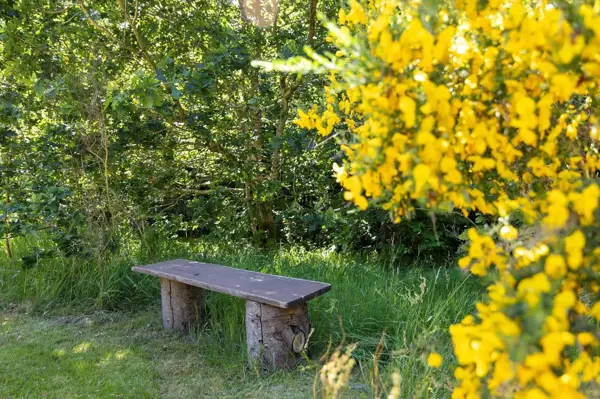 Bild 29 von 31