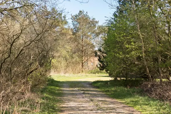 Bild 20 von 20