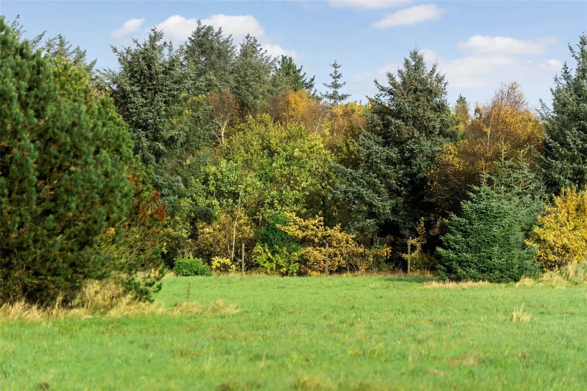 Bild 27 von 27