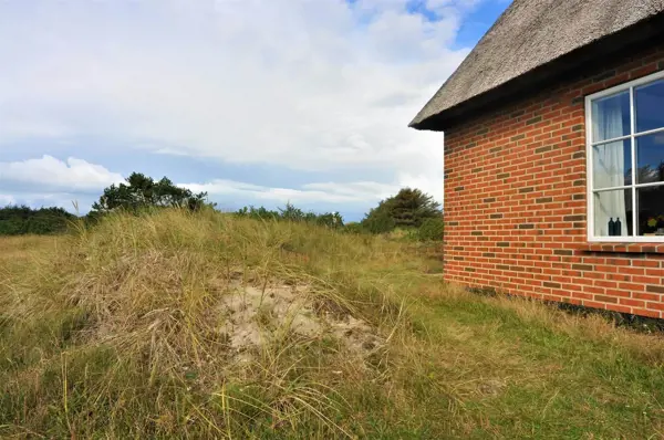 Bild 38 von 41