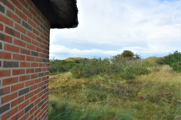 Bild 39 von 41