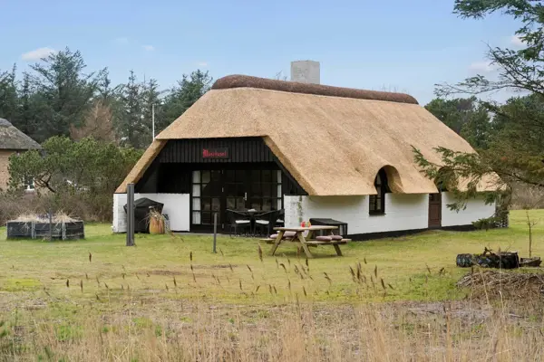 Ferienhaus 20356 in Vedersø Klit / Ulfborg