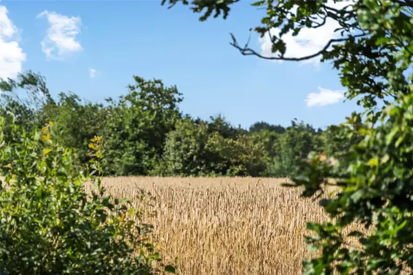 Bild 18 von 18