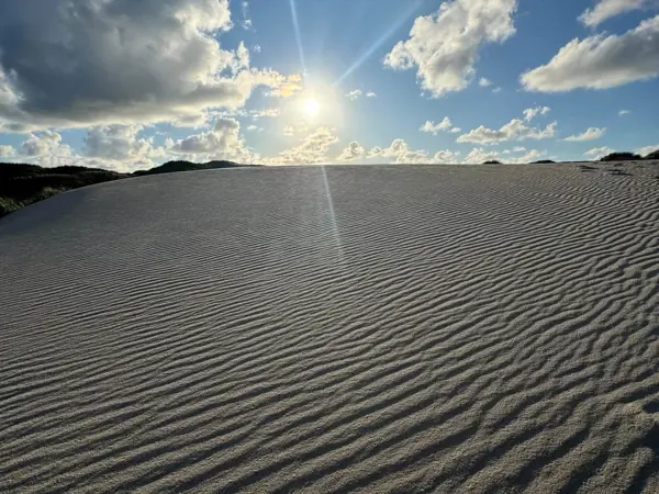 Bild 39 von 43
