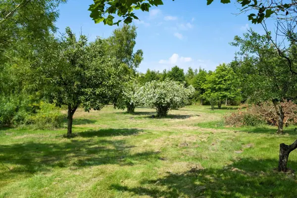 Bild 32 von 44