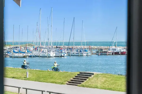 Bild 6 von 37