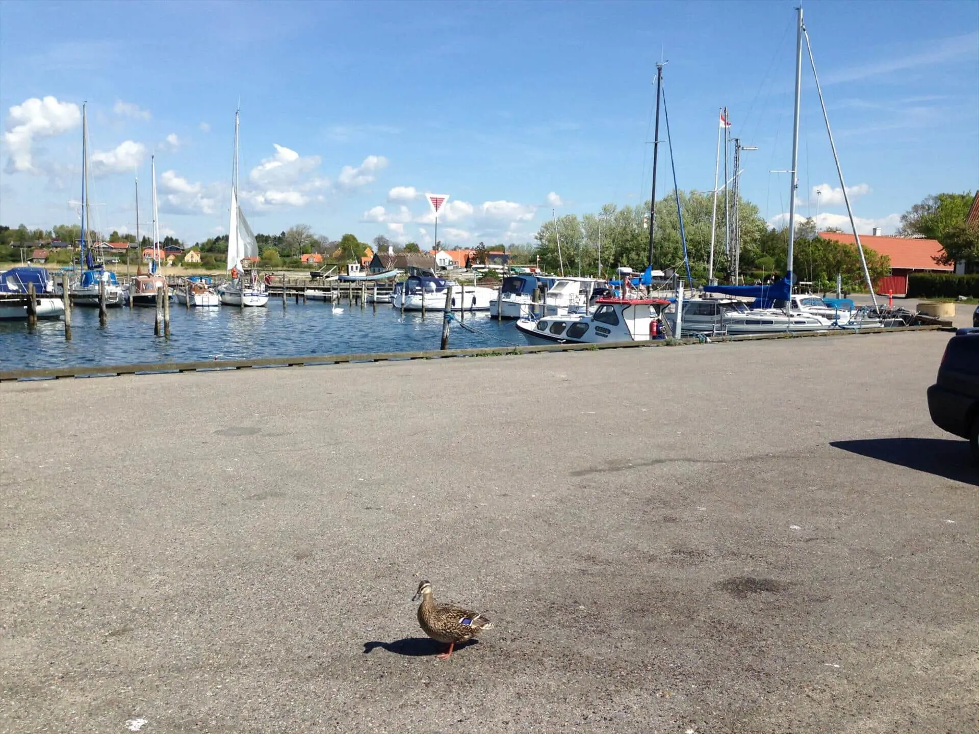 Bild 22 von 24