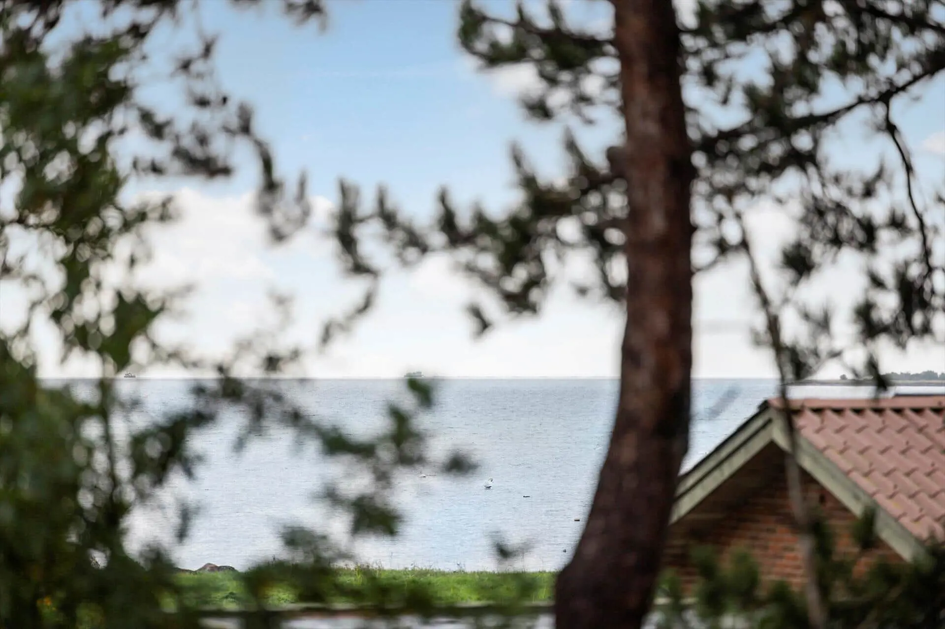 Ferienhaus SL381 in Fægangsvejen 68, Reerso | Bild 6 von 23