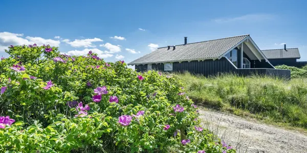 Ferienhaus 427 in Vejers Strand / Vejers