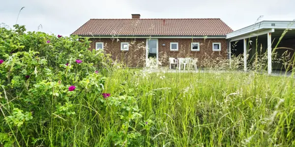 Ferienhaus 453 in Vejers Strand / Vejers