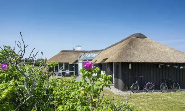 Ferienhaus 477 in Vejers Strand / Vejers