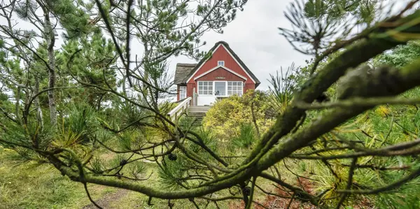 Ferienhaus 440 in Vejers Strand / Vejers