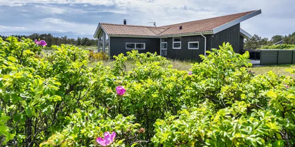 Ferienhaus 101 in Vejers Strand / Vejers