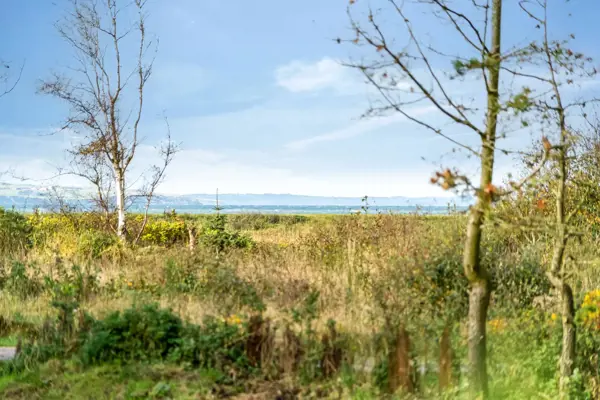 Bild 25 von 34
