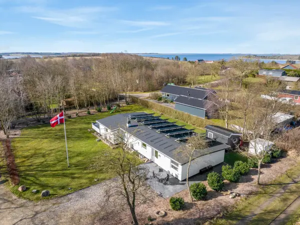 Ferienhaus 33950 in Salling / Limfjord
