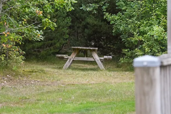 Ferienhaus 2024 in Kjærgaardvej 44, Vester Husby | Bild 24 von 35